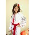 Embroidered dress/blouse/tunic "Cutie Grapes"